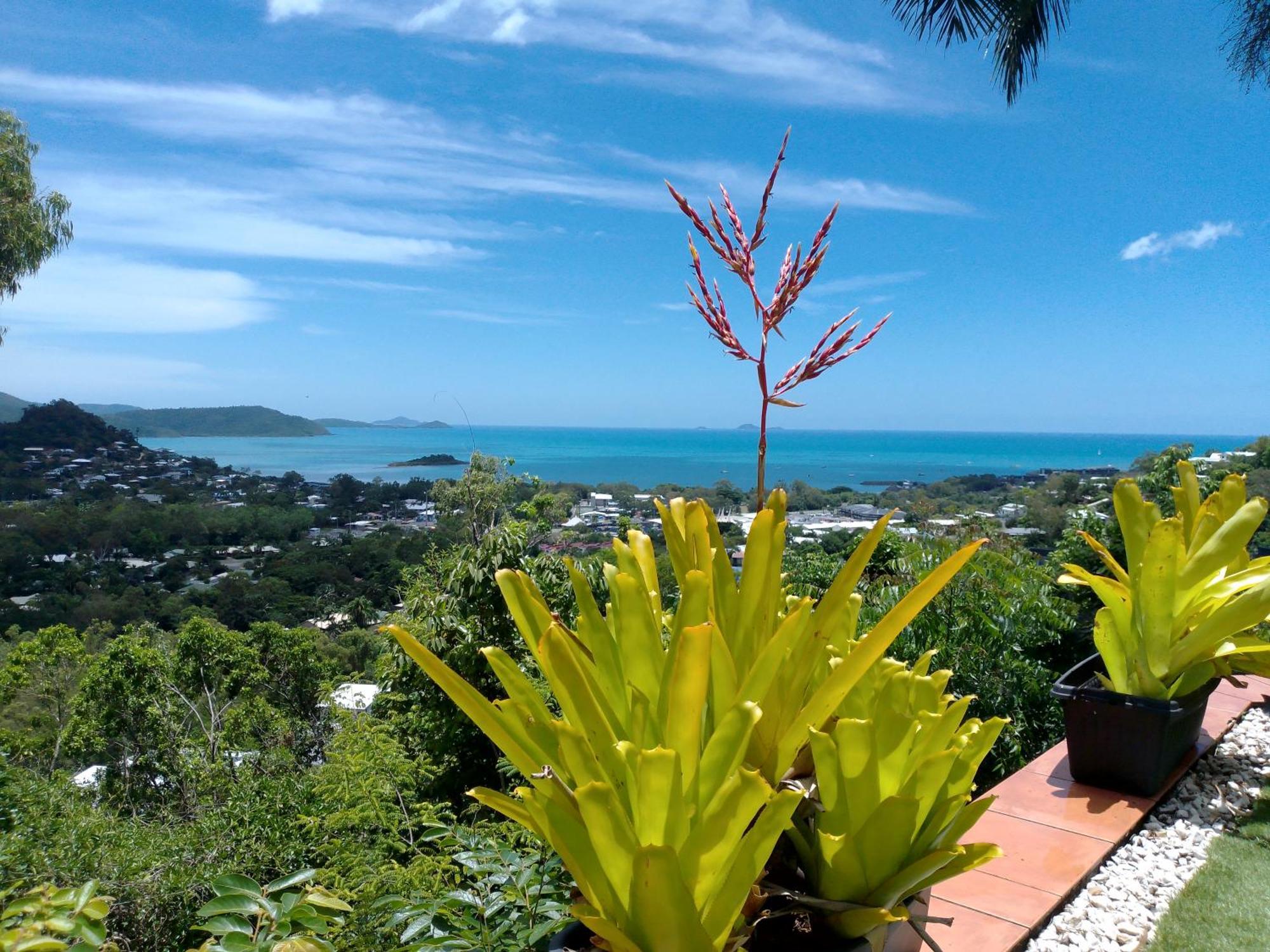 Yachtsmans Paradise, Whitsundays Hotel Airlie Beach Exterior foto